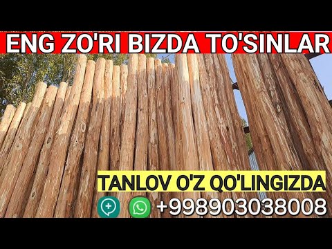 TERAK BOZOR YANGI NARXLAR 2025