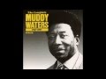Muddy Waters, I got a rich man's woman