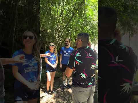 Alagoa sem carnaval, mas o queijo não falta. @towaemporiooriental @queijoscommarilenesarahfialho