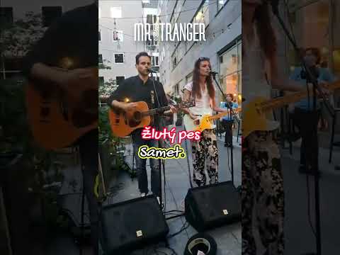 Žlutý pes - Sametová live