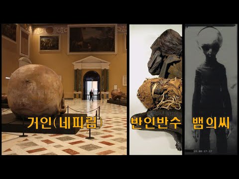 천사의 족보 (거인:네피림, 반인반수, 뱀의씨(외계인 UAP)