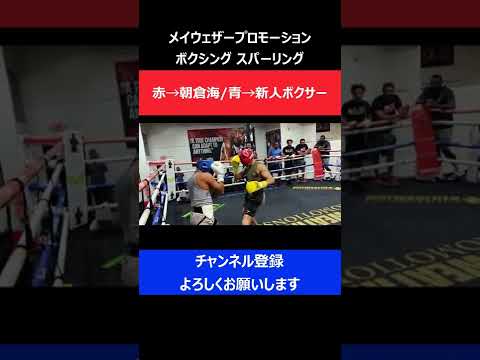 朝倉海 メイウェザー秘蔵っ子とガチンコスパーリングが実現した瞬間【RIZIN】