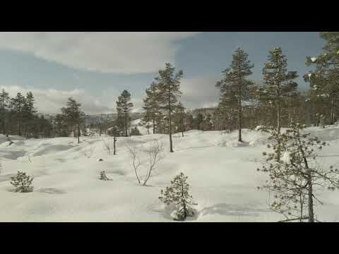 Lost and Found Dji M2P Emergency landing near "Digernesvatnet" in Førde.