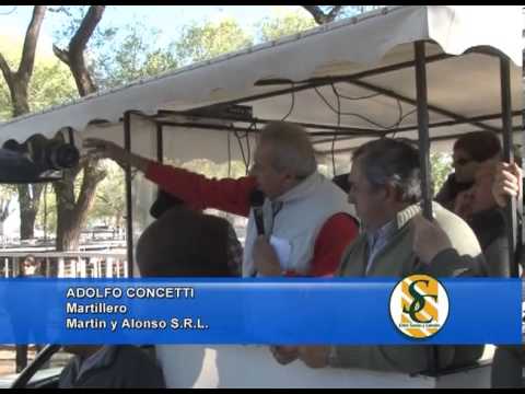 ADOLFO CONCETTI - Martin y Alonso S.R.L. - Huanguelen - 25/09/2013