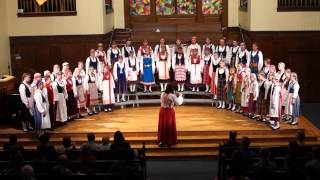 Vox Aurea: Revontulet