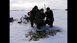 Рыбалка в северо-казахстанской области на карася