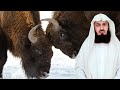 Mother or Wife? - The Dilemma - Mufti Menk