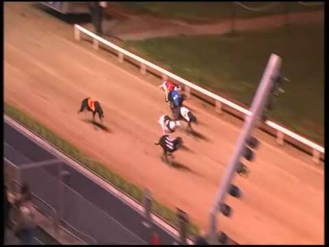 Whoops Jack - BoyleSports Irish Greyhound Derby R1 HT 8