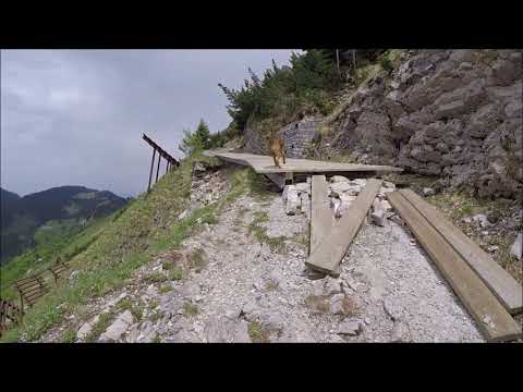 Les Avants - Col de Jaman - Col de Soladier - Le Molard - Goille aux Cerfs, Vaud, Suisse, 26-5-2018