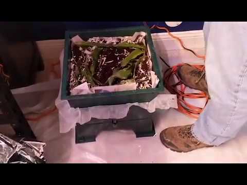 Garden Series: Starting The Worm Farm
