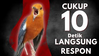 Download lagu Merangsang Emosi Dalam Hitungan Detik, Pancingan Dan Terapi Anis Merah Macet Bunyi | AMO 21 mp3 Download lagu Merangsang Emosi Dalam Hitungan Detik, Pancingan Dan Terapi Anis Merah Macet Bunyi | AMO 21 mp3