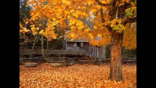 Autumn Comes Around by Andy Partridge