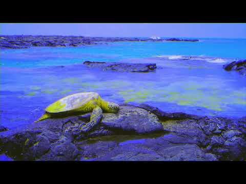 Caribe Mix 2000 - Sesión con canciones del verano míticas de los 90s y 2000s