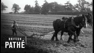 God Speed The Plough (1926)