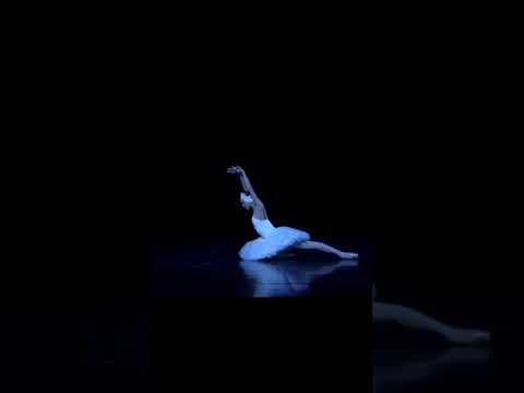 Ulyana Lopatkina in The Dying Swan 🦢🦢