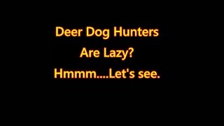Deer dog hunters are lazy?