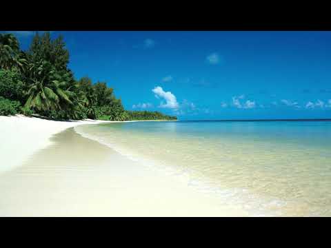 Tenger hang, madár csicsergés, Relaxáció (Sea sound, bird sound, relaxing)