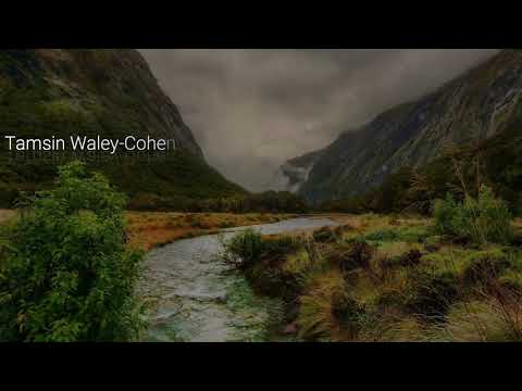 Tamsin Waley-Cohen & James Baillieu - Violin Sonata in D Minor, Wq. 72 I. Adagio ma non troppo