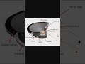 Electromagnetic Loudspeaker