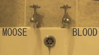 Sulk - Moose Blood - Lyrics