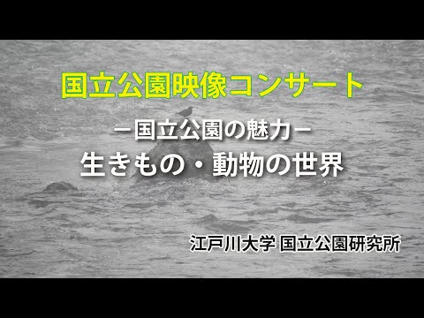 国立公園の魅力4「生きもの・動物の世界」