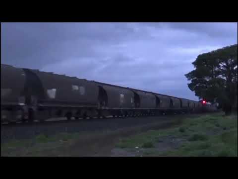 G519 8172 8164 8140 on 2CK5 in cressy