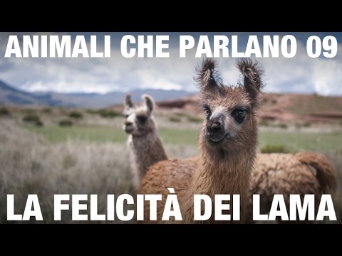 Che fare con il marito lalcolizzato come aiutare Esser cifrato da alcool Mosca