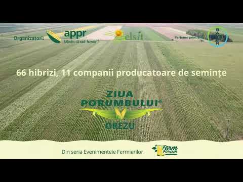 Ziua Porumbului Orezu 2022