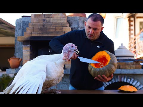 TURKEY 🦃 BAKED in a PUMPKIN 🎃. MEAT 🥩 in a PUMPKIN 🔥.