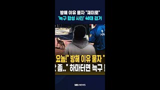 방해 이유 묻자 재미로..'늑구 합성 사진' 40대 검거 #shorts