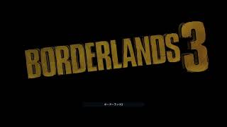 borderlands3　ボダラン3  野良とひゃっはー
