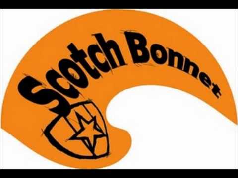 Scrova Dub Selecter  Ranking Forrest - Mungo's Special (OLD time dance riddim)