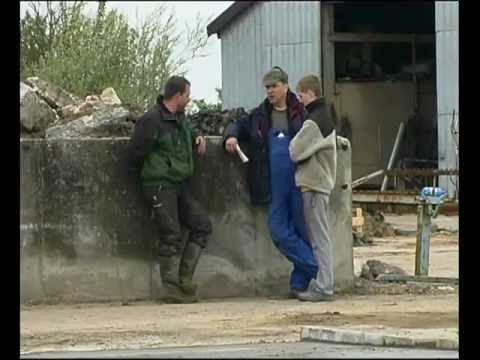 Risum-Lindholm - Trailer