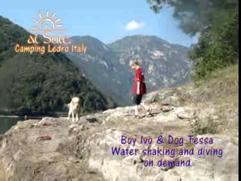 Dog Tessa and Ivo Water shaking Diving on Demand Al Sole