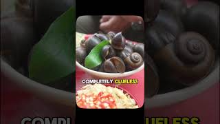 Hanoi’s Snails Changed My Mind