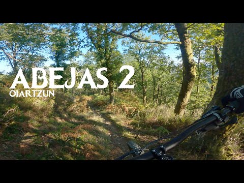 ABEJAS 2 2020 BAJADAS OIARTZUN #oiartzun #mtb #enduro