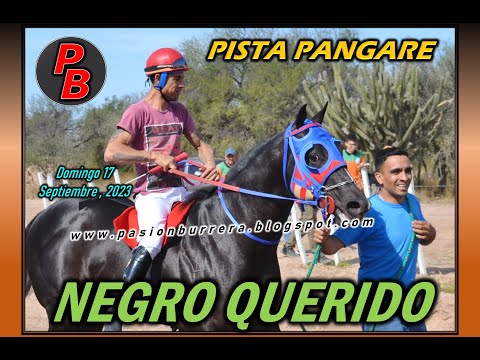 NEGRO QUERIDO: PISTA PANGARE - CRUZ DEL EJE (17-09-2023)