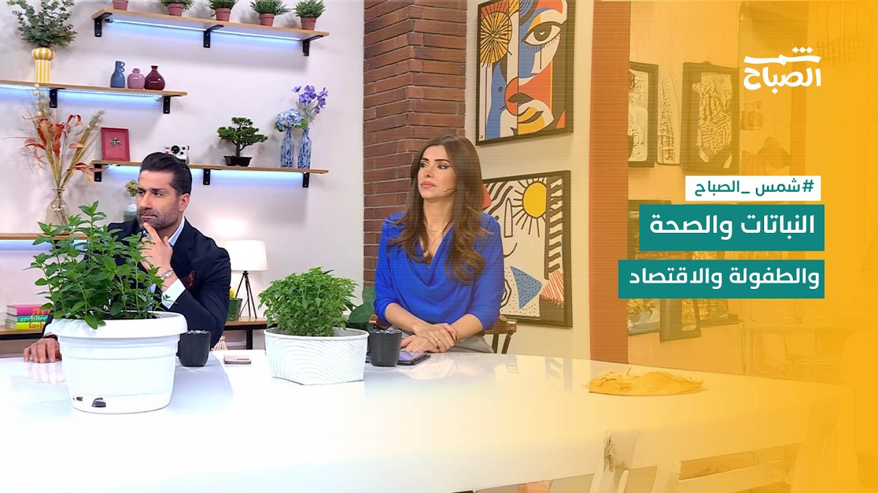 فيديو | شمس الصباح | نباتات طاردة للحشرات وسرطان الفم.. ويوم الطفل في كوردستان