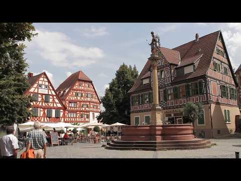 Rhein-Neckar-Kreis - Der Film (Kurzversion)