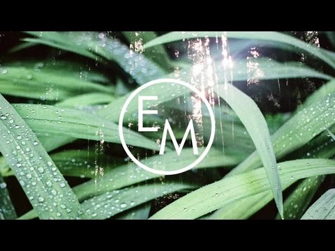 Kidnap Kid - Freedom