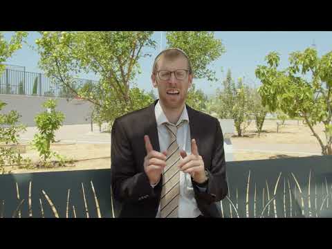 Gan HaMitzvot#7-Grafts: The Perfect Match – Kilei Ilan, tree grafts