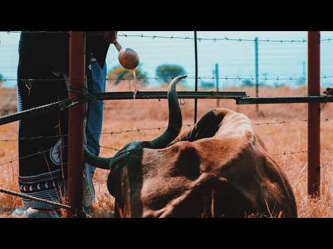 Thabo Seremi - Sello Sa Tshuwana/Makgarihlana [Live Performance] | Phomolong Studios