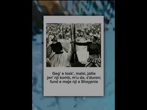 Gheg 🤝🏻Tosk🇦🇱