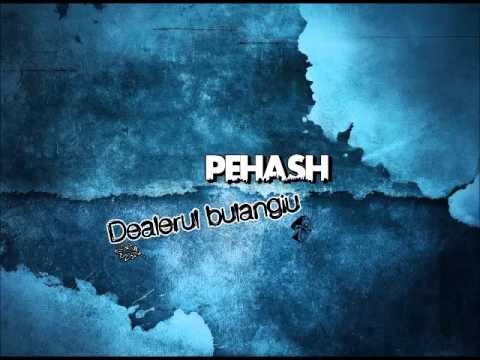 Pehash - Dealerul bulangiu (prod. DooZile)