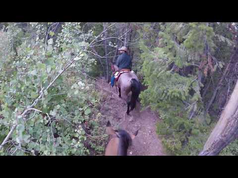 Downhill Triangle X Ranch September 2017