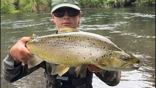 Hard Fight Against a Fat Taupō Brown Trout