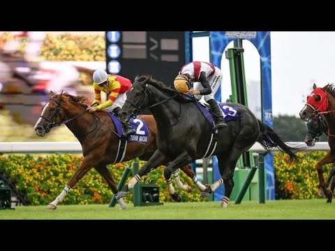 LUGAL wins the 2024 Sprinters Stakes (G1) at Nakayama!