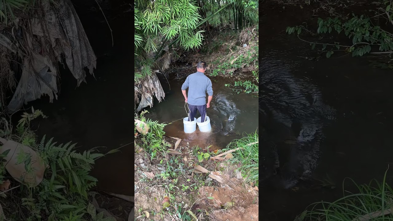 Survival tip use buckets as shoes