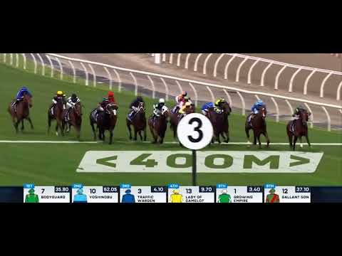 COOLMORE GROUP 1 | SWITZERLAND 🇨🇭