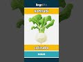 kohlrabi - colinabo video thumbnail